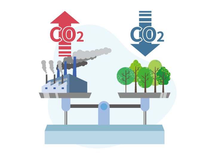 What Does It Mean to Offset Carbon Emissions?